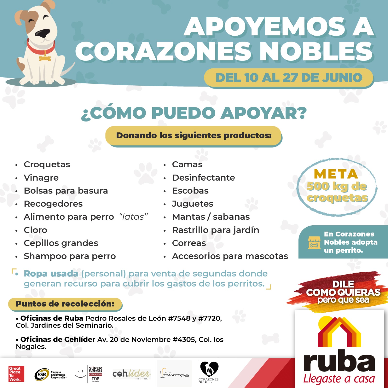 Invitan a donar artículos para refugio de perritos